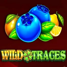 Play Wild Traces slot by Amusnet Interactive on bet365kazino.com